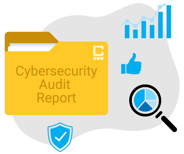 p13 - document your findings-1