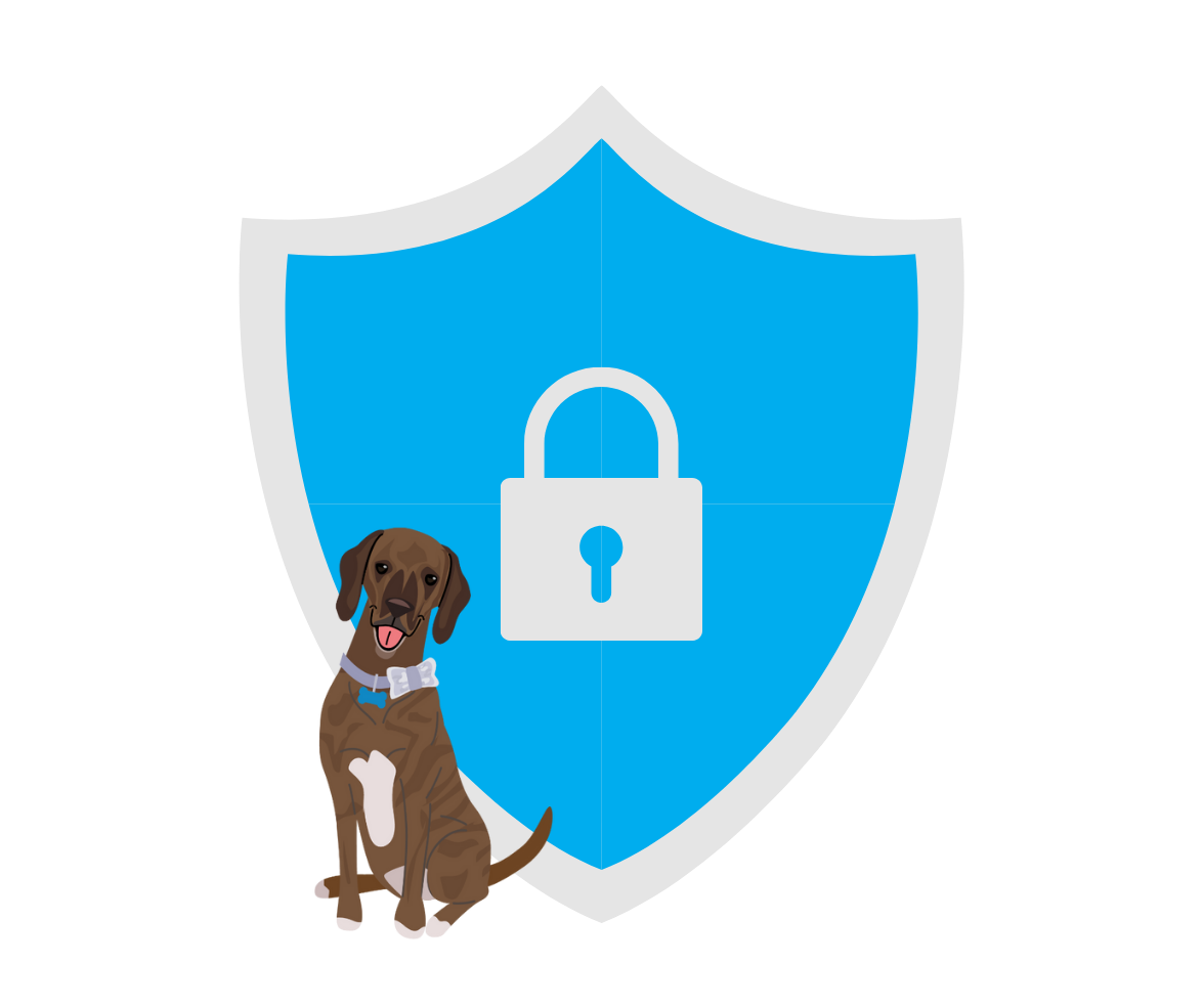 protecting information