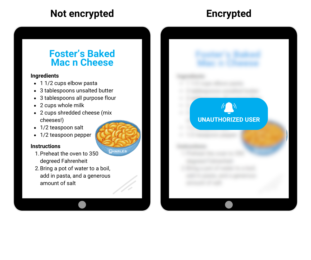safeguard data with endpoint encryption